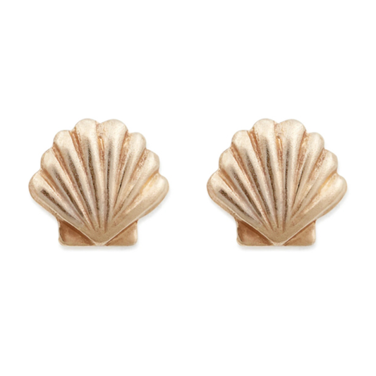 Keeli Seashell Stud Earrings