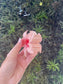 Hibiscus Flower Claw Clip