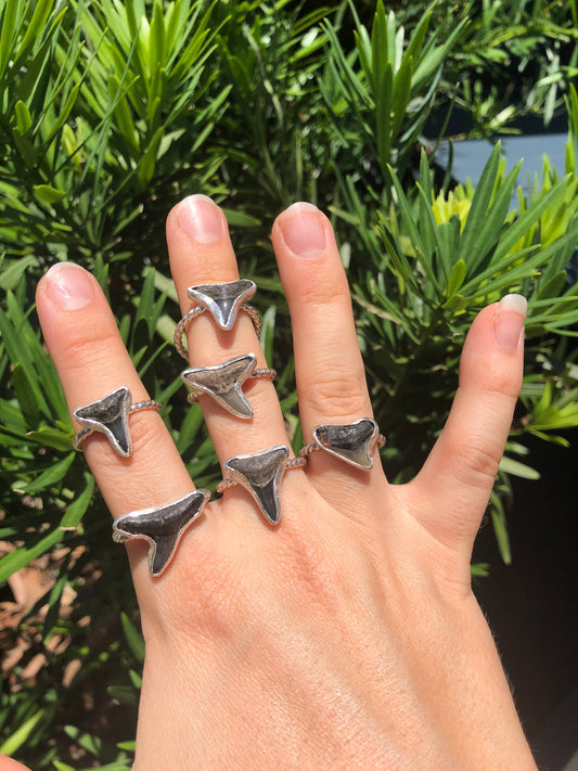 Floridian Sterling Silver Shark Tooth Ring